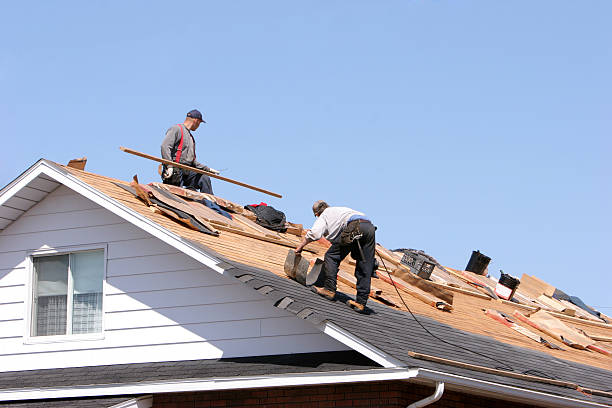 Best Roof Maintenance and Cleaning  in Central City, IL